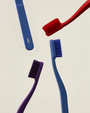 Accessoires - Brosse à dents | Tann - Hay