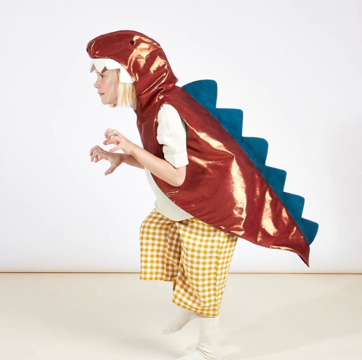 Accessoires - Déguisement enfant | Dinosaure - Meri Meri