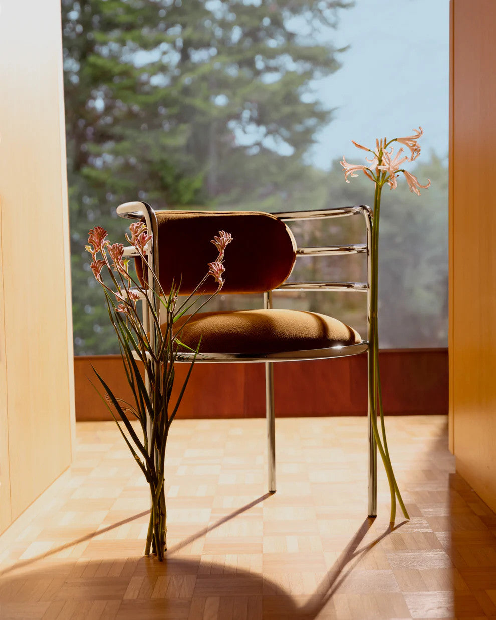Accueil - Chaise | Moon - Maison Sarah Lavoine