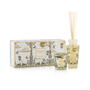 Accueil - Coffret bougie et diffuseur My first baobab | Tomorowland |Baobab