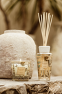 Accueil - Coffret bougie et diffuseur My first baobab | Tomorowland |Baobab