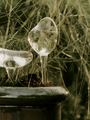Accueil - Globes D'Arrosoire | Mercury Water Globes - Set of 2 - Ferm Living