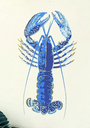 Accueil - Homard | Carnet en papier parchemin - Supplément d'am