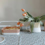 Accueil - Plat M Cantine | Terre Cuite - Jars