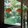 Accueil - Suspension | Flowerpot VP10 | Ø 16 cm - &Tradition
