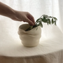 Accueil - Vase terraé | Grand modèle | Omé Studios