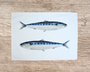 Accueil - Torchon | Les Sardines - Varek Illustrations