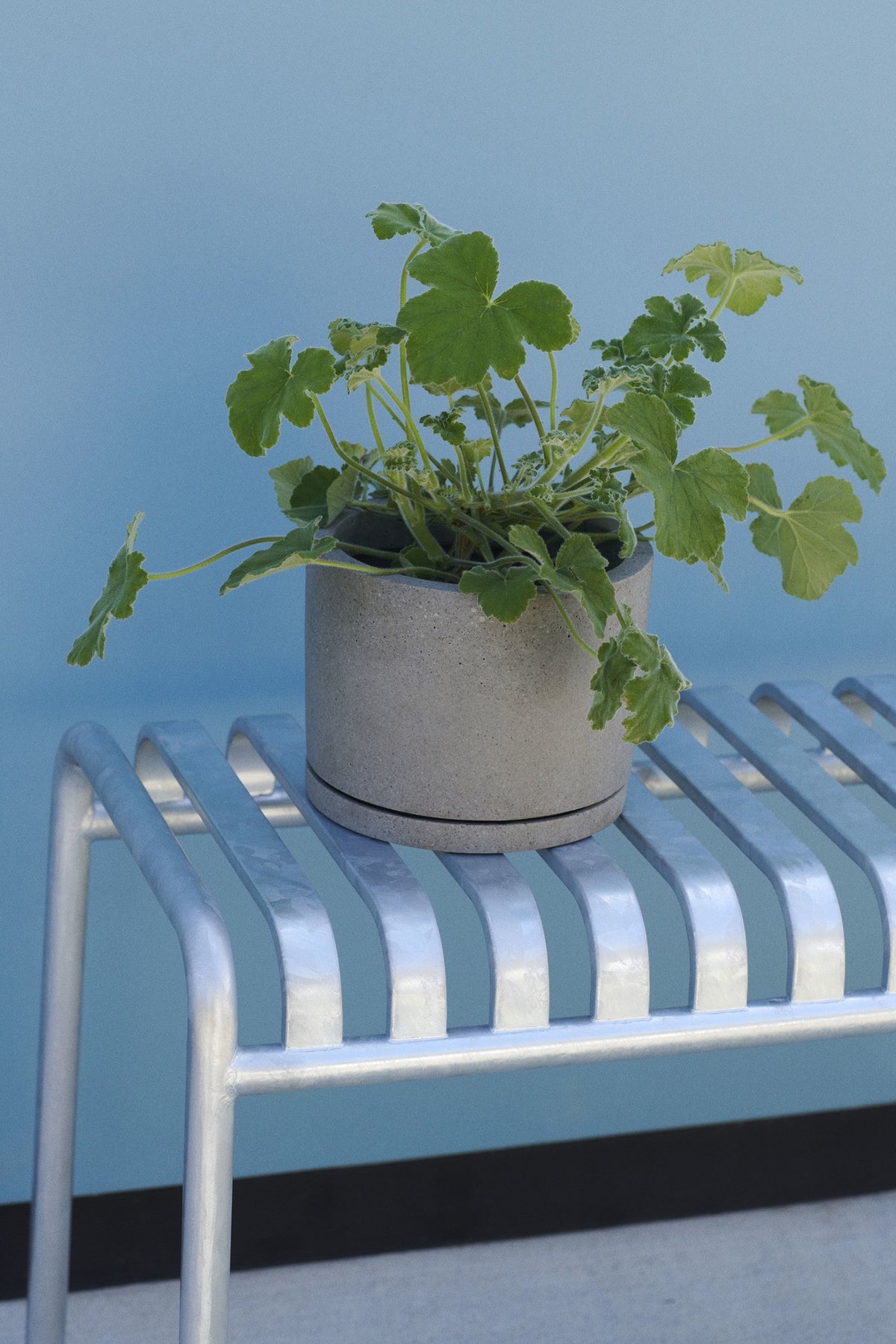 Bancs - Banc | Palissade - HAY