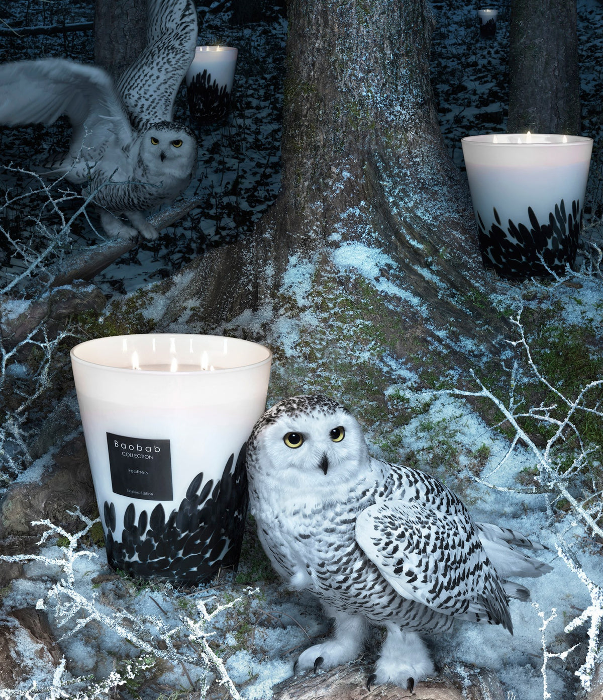 Bougies et bougeoirs - Bougie Feathers | Max 10 - Baobab