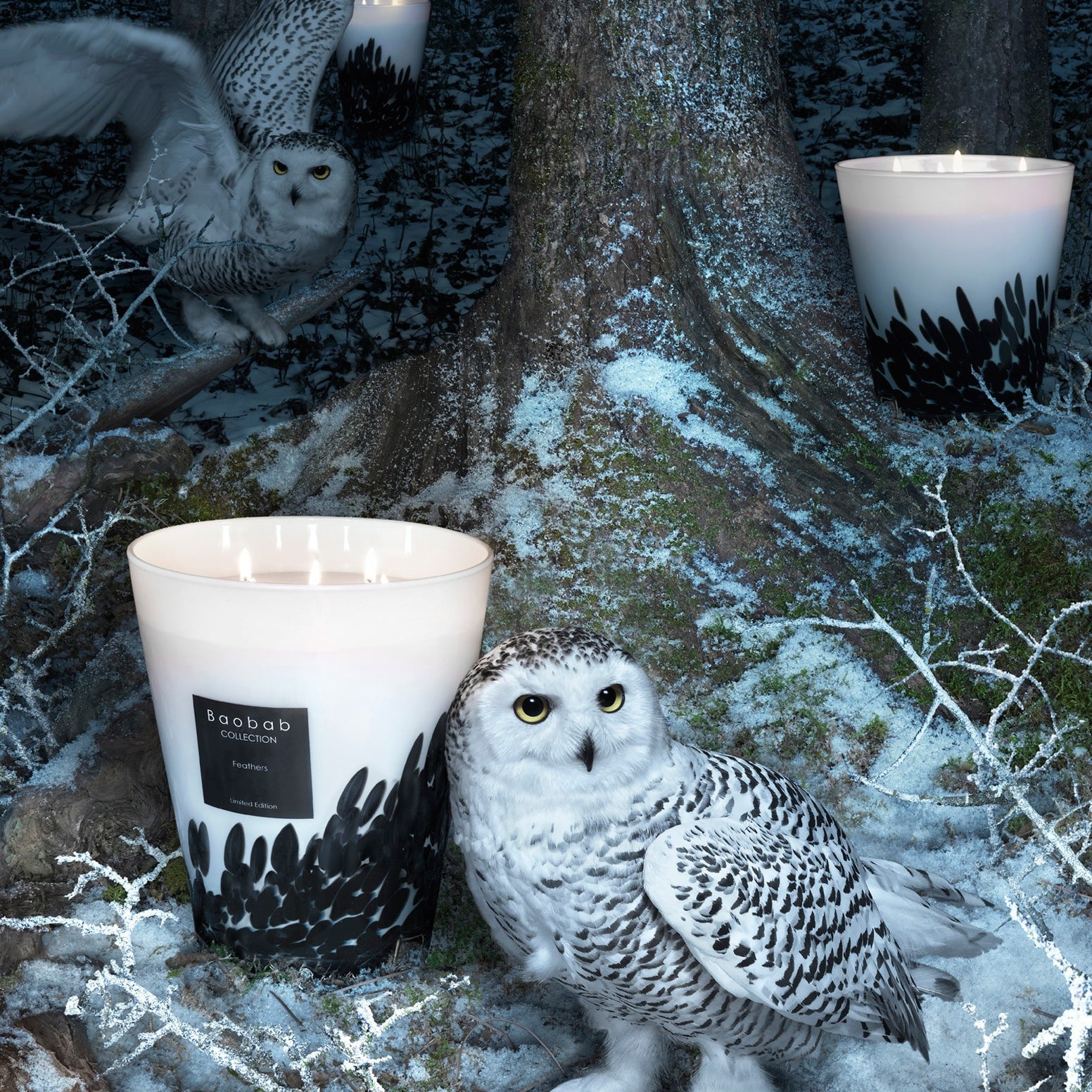 Bougies et bougeoirs - Bougie Feathers | Max 16 - Baobab