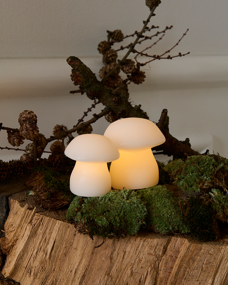 Décoration - Set de 2 champignons lumineux | Elvina - Sirius