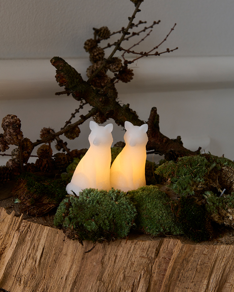 Décoration - Set de 2 renards lumineux | Edda - Sirius