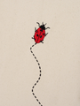 Enfants - Tente | Ladybird Embroidery - Ferm Living