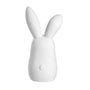 Figurines - Figurine Bunny Friends | Large - Räder