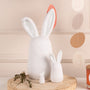 Figurines - Figurine Bunny Friends | Medium - Räder