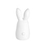 Figurines - Figurine Bunny Friends | Set de 2 - Räder