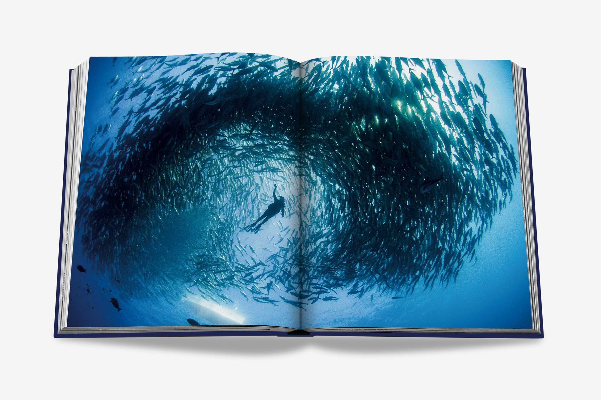 Jeux et loisirs - Livre | Ocean Wanderlust - Assouline