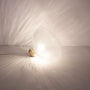 Lampes à poser - Lampe à poser | Tidelight - Petite Friture