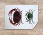 Table & Cuisine - Lot de 3 Torchons | Le plateau de fruits de mer - Varek Illustrations
