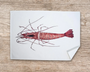 Table & Cuisine - Lot de 3 Torchons | Le plateau de fruits de mer - Varek Illustrations
