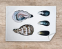 Table & Cuisine - Lot de 3 Torchons | Le plateau de fruits de mer - Varek Illustrations