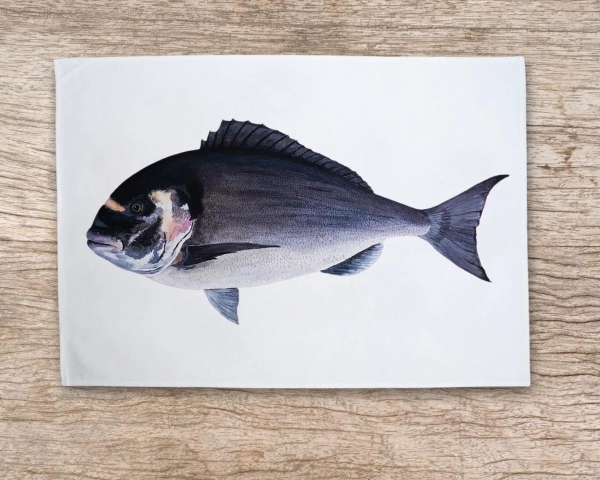 Table & Cuisine - Lot de 3 Torchons | Les poissons de nos côtes - Varek Illustrations