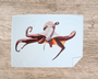 Table & Cuisine - Torchon | Le poulpe - Varek Illustrations