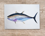 Table & Cuisine - Torchon | Le Thon Rouge - Varek Illustrations
