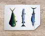 Table & Cuisine - Torchon | Les Poissons Exotiques - Varek Illustrations