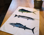 Table & Cuisine - Torchon | Les Poissons Exotiques - Varek Illustrations