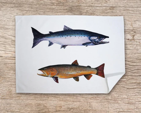 Table & Cuisine - Torchon | Les Salmonidés - Varek Illustrations