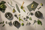 Ustensiles et accessoires - Broyeur à ail | Green Tool - Eva Solo