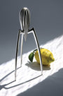 Ustensiles et accessoires - Presse-agrumes Juicy Salif - Alessi