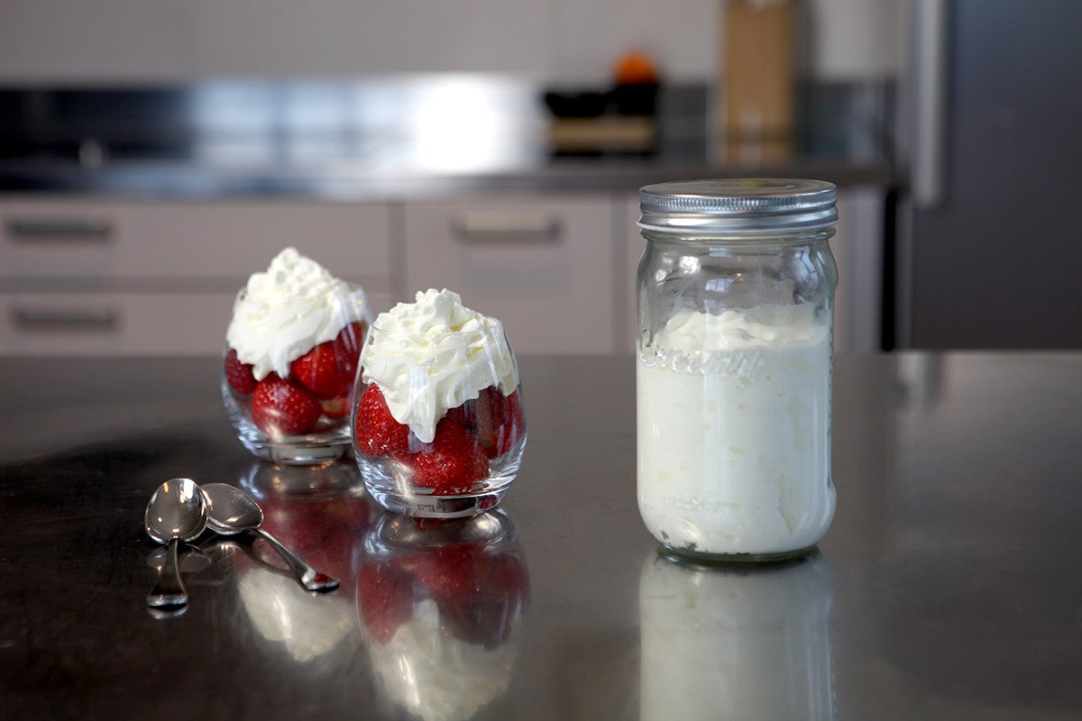 Ustensiles et accessoires - Shaker pour chantilly maison Creazy - Cookut