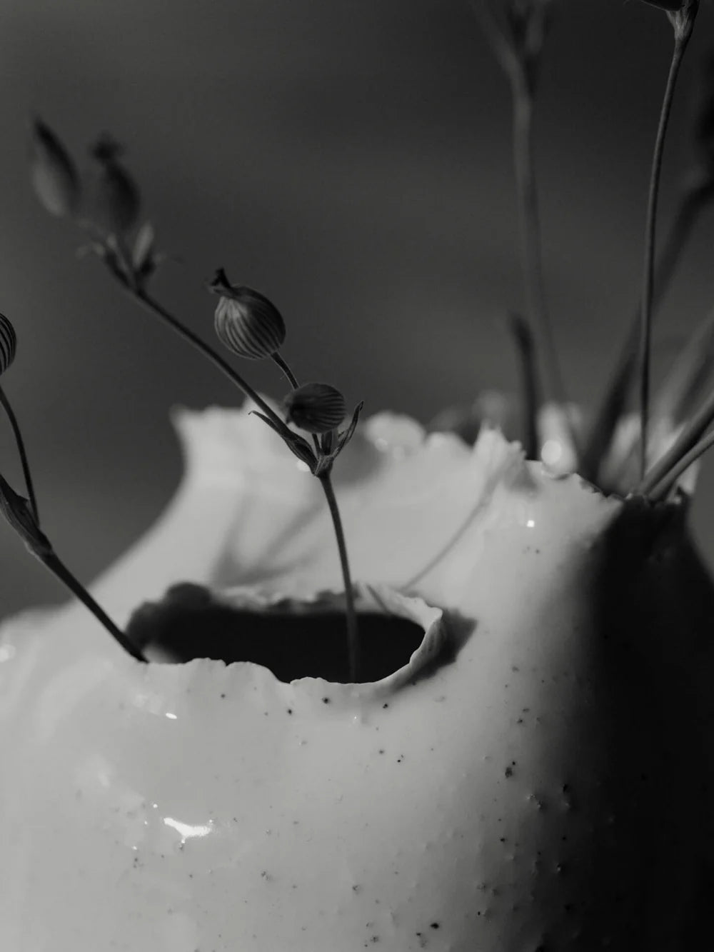 Vase | Tereo Round