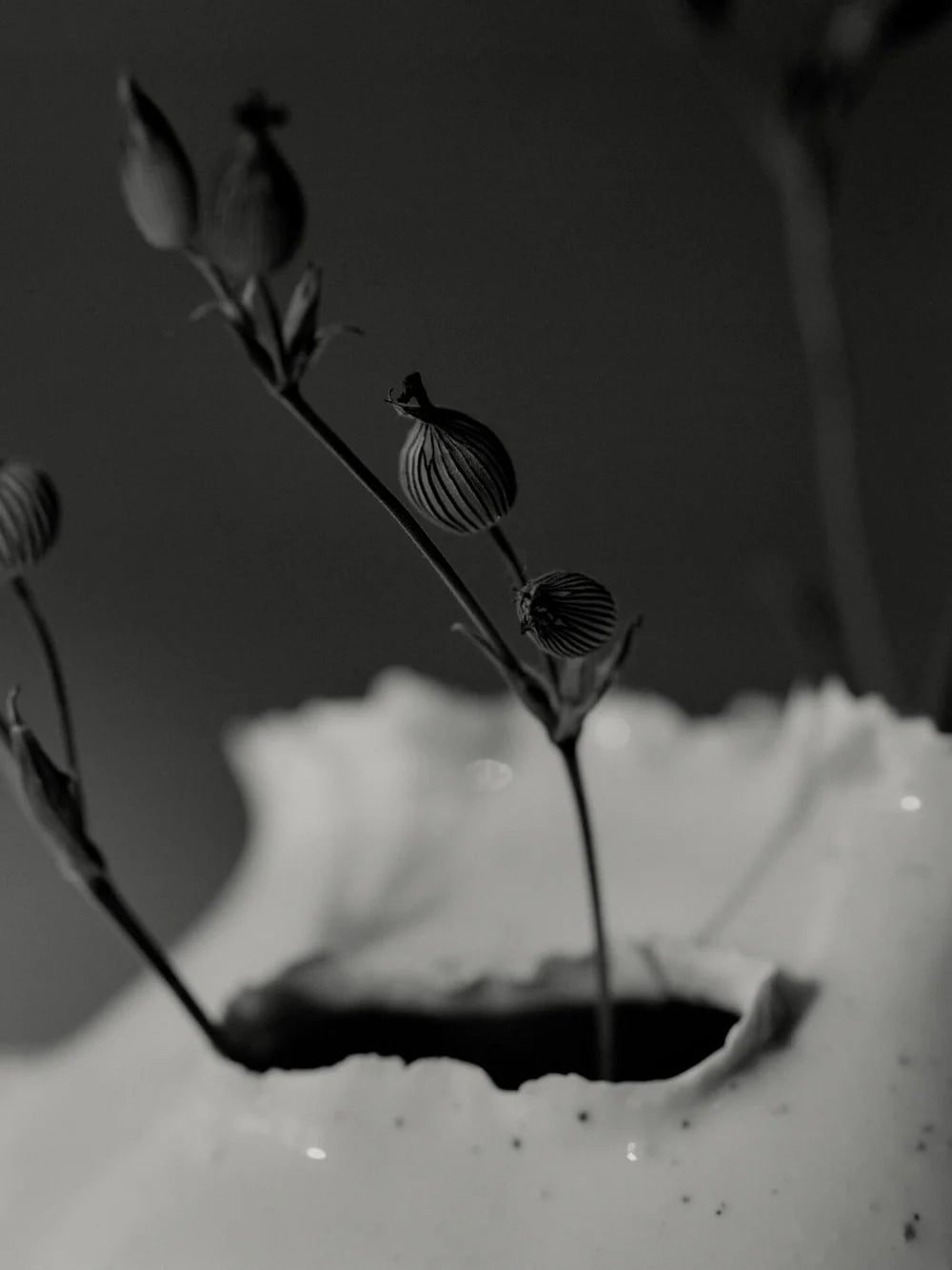 Vase | Tereo Round