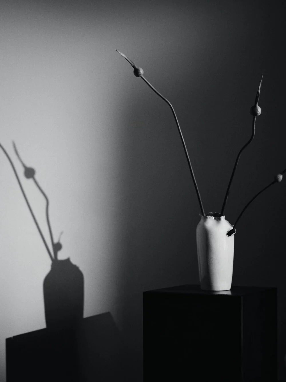 Vase | Tereo Tall