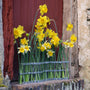 Vases - Vase d'avril | Classique - Tsé & Tsé