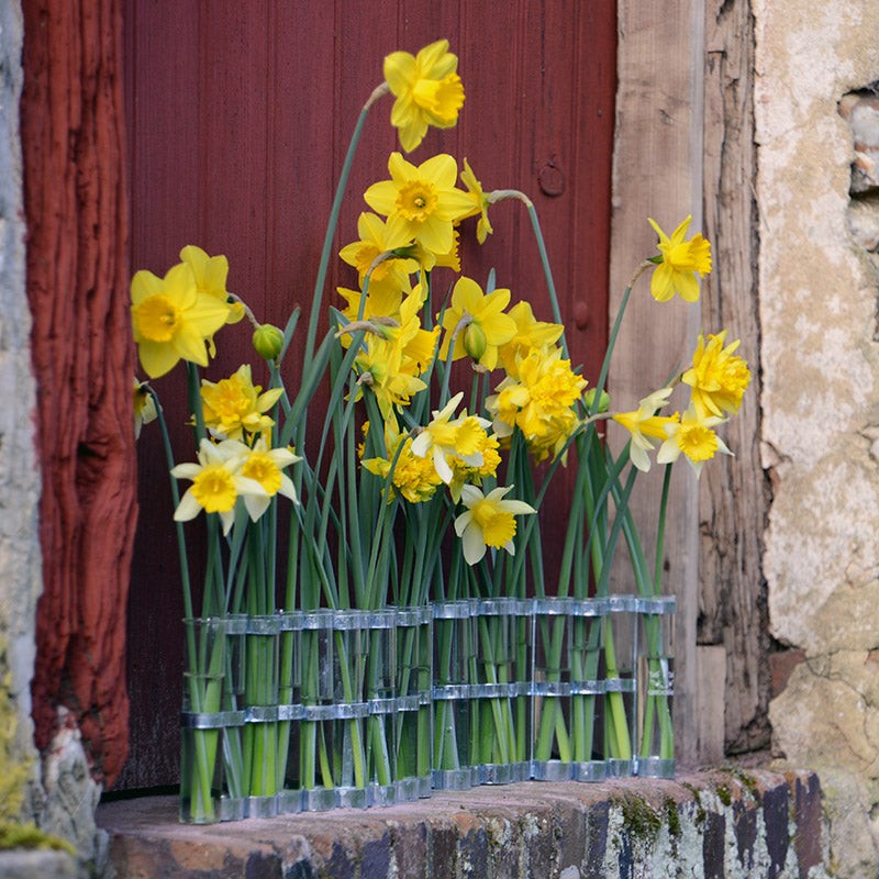 Vases - Vase d'avril | Classique - Tsé & Tsé