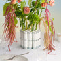 Vases - Vase d'avril | Porcelaine - Tsé & Tsé