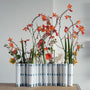 Vases - Vase d'avril | Porcelaine - Tsé & Tsé