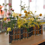 Vases - Vase d'avril | Roux - Tsé & Tsé