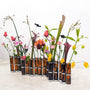 Vases - Vase d'avril | Roux - Tsé & Tsé
