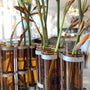 Vases - Vase d'avril | Roux - Tsé & Tsé