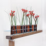 Vases - Vase d'avril | Roux - Tsé & Tsé