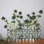 Vases - Vase d'avril | XXL - Tsé & Tsé