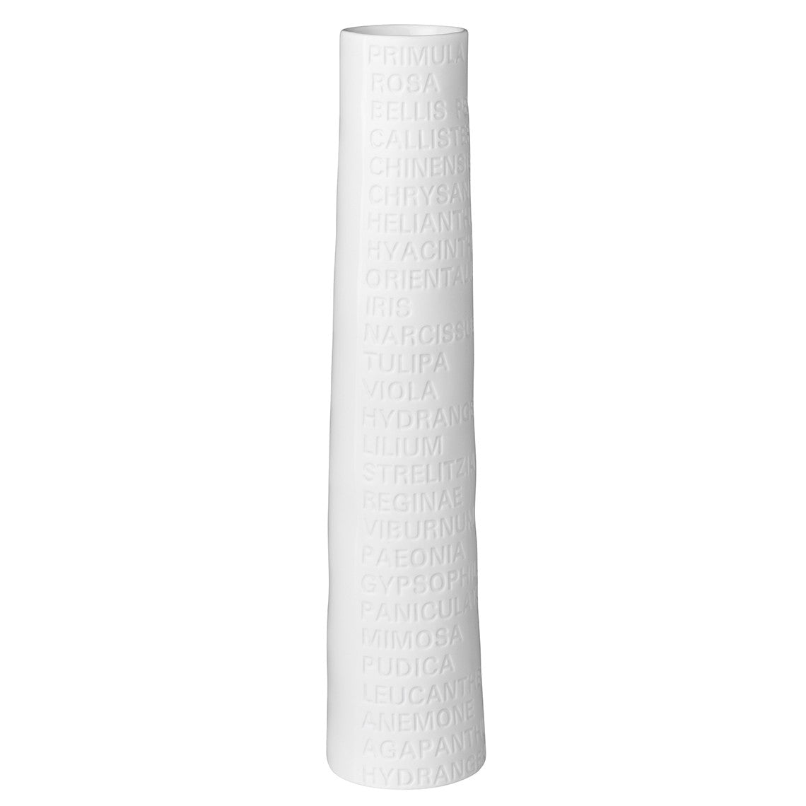 Vases - Vase Room Poetry Large - Räder
