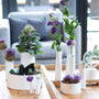 Vases - Vase Room Poetry Wide - Räder