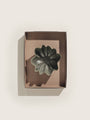 Vide-poches et plateaux - Coupe | Nium | Large - Ferm Living